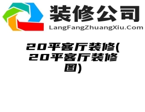 20平客厅装修(20平客厅装修图)